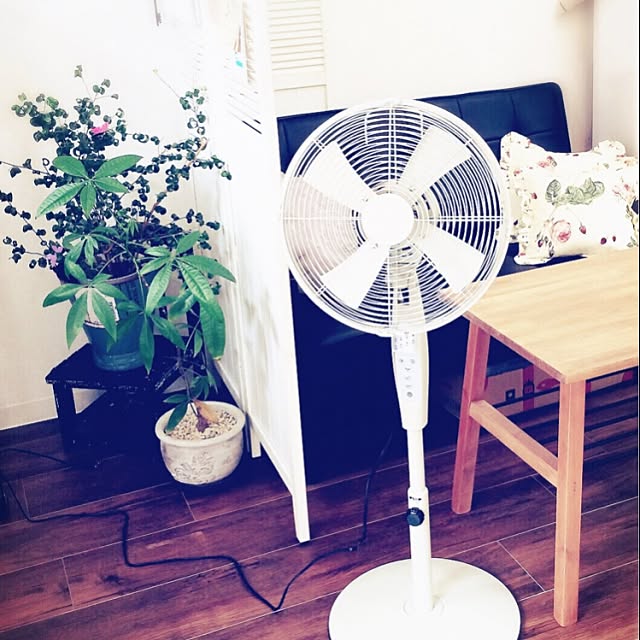 nicoさんの実例写真