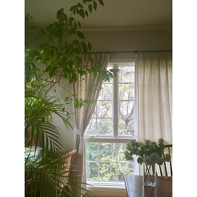 Claraさんの実例写真