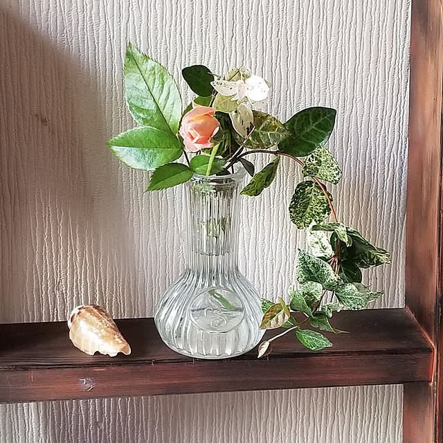 midoriさんの実例写真