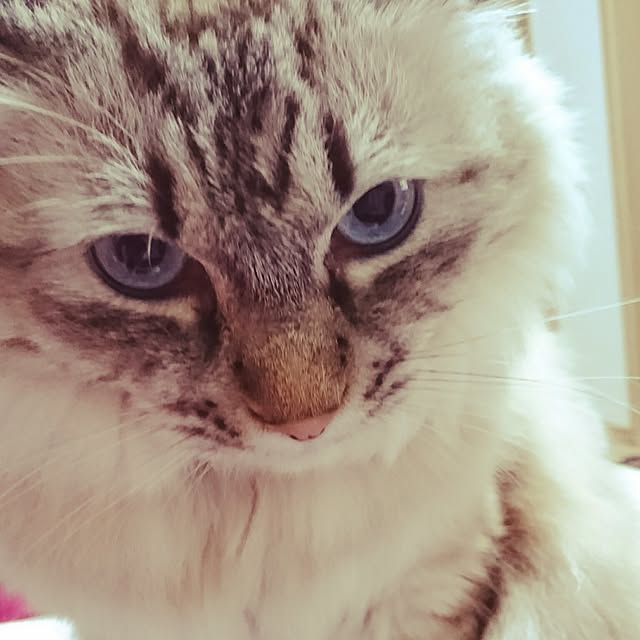 hiroさんの実例写真