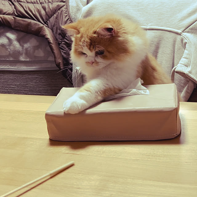 junさんの部屋