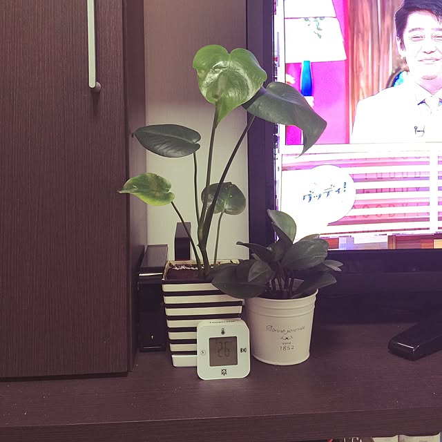 Mleさんの実例写真