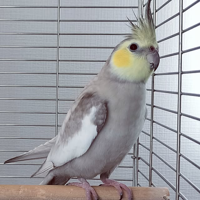 yamさんの実例写真