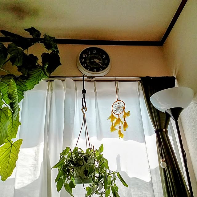 moruさんの部屋