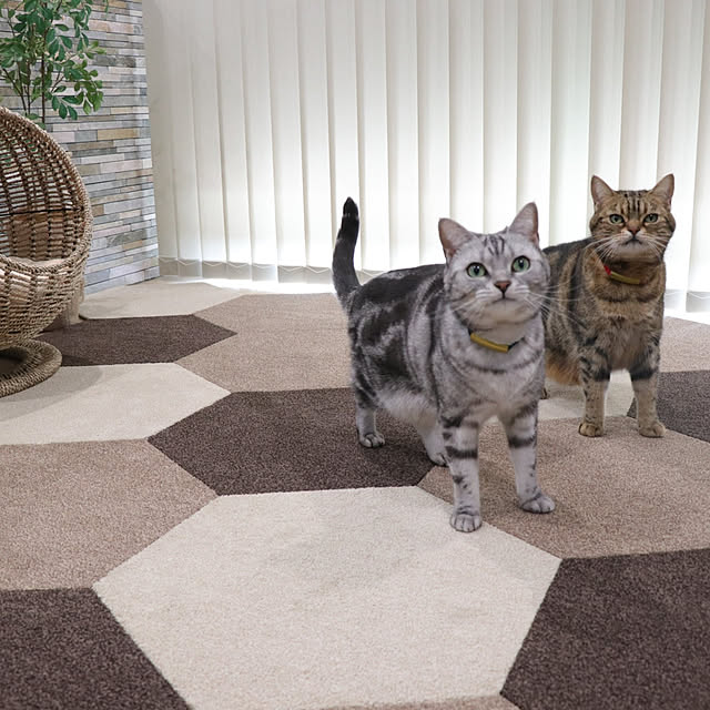 NANACOCOさんの実例写真
