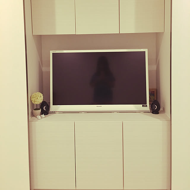 Ueoaiさんの実例写真