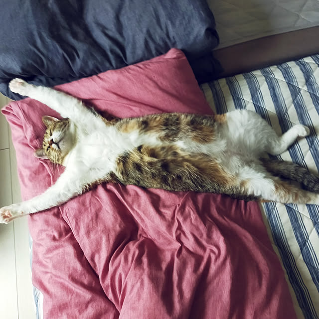 nnk.akさんの実例写真