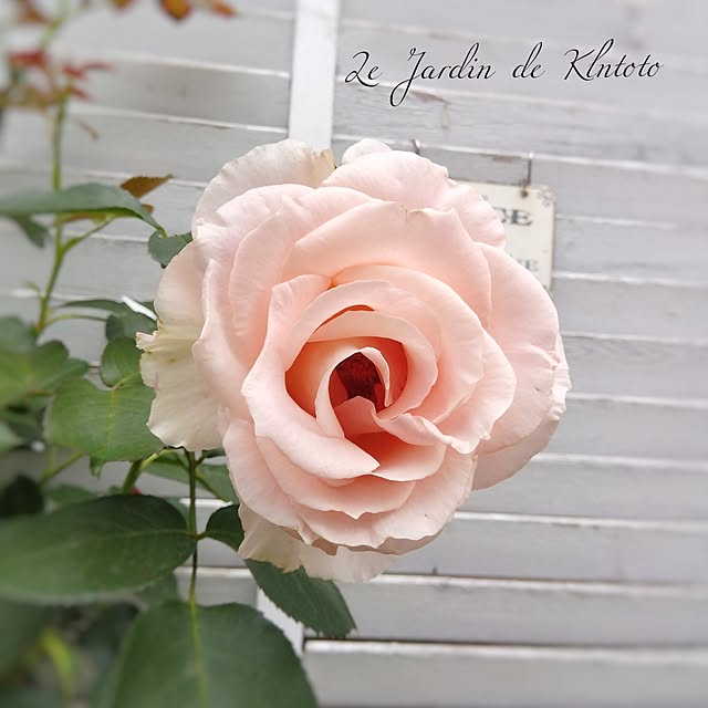 kintoto07さんの実例写真
