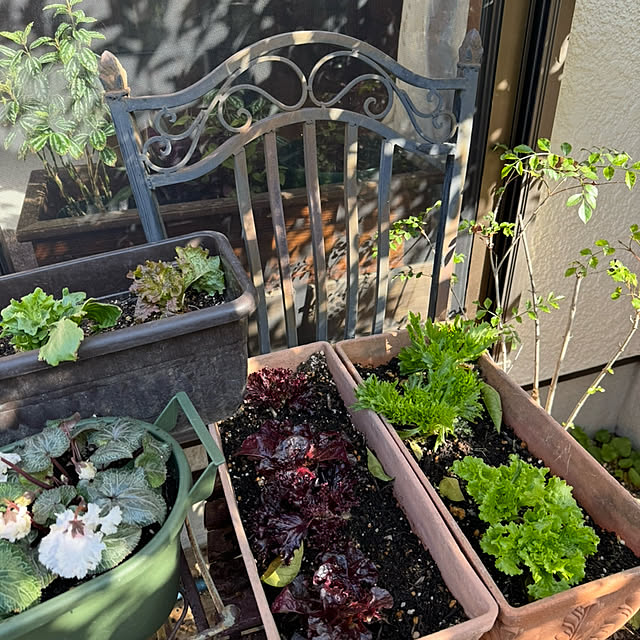 mamizaさんの実例写真