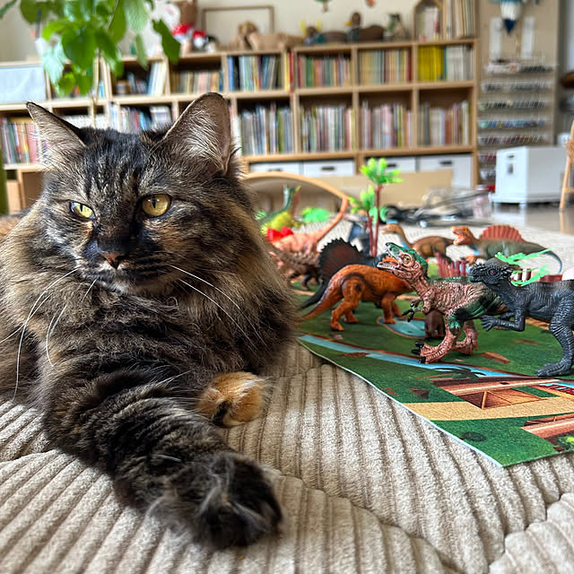 mikomaruさんの実例写真