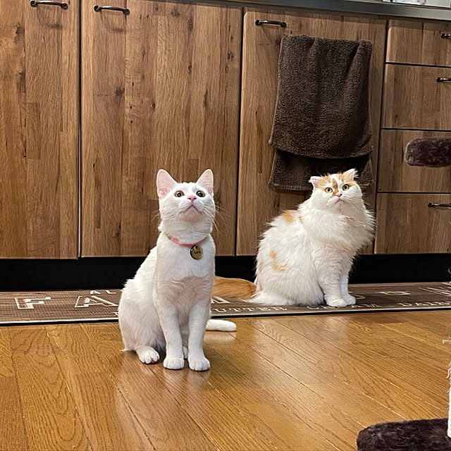 keiさんの実例写真
