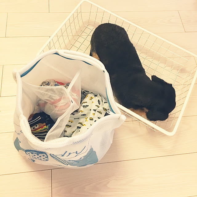 ohanaさんの実例写真