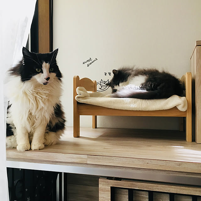 Sanaeさんの実例写真