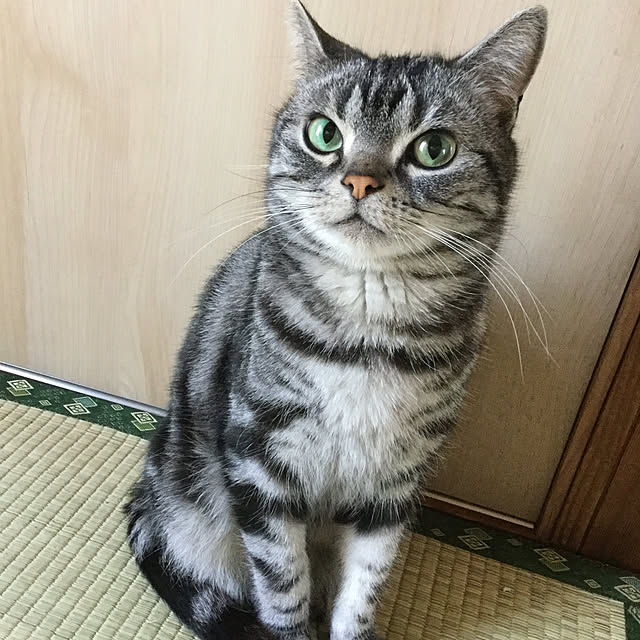 richanさんの実例写真