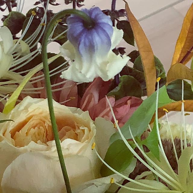 Chigusaさんの実例写真