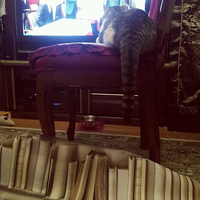emmyyさんの実例写真