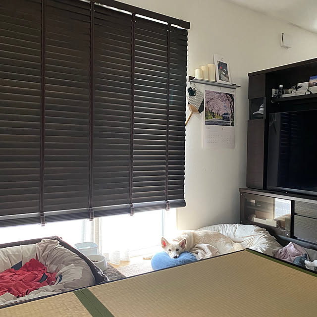 tanboさんの実例写真