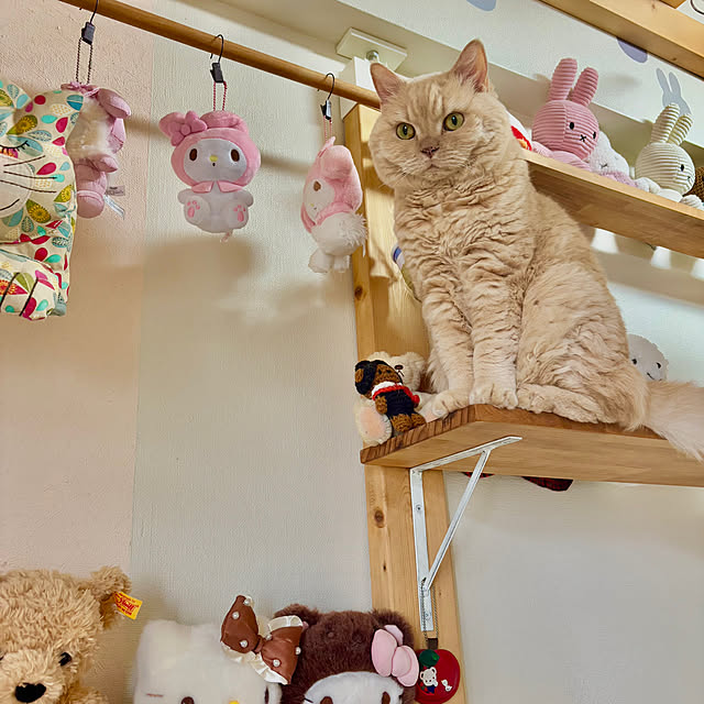 naokoさんの部屋