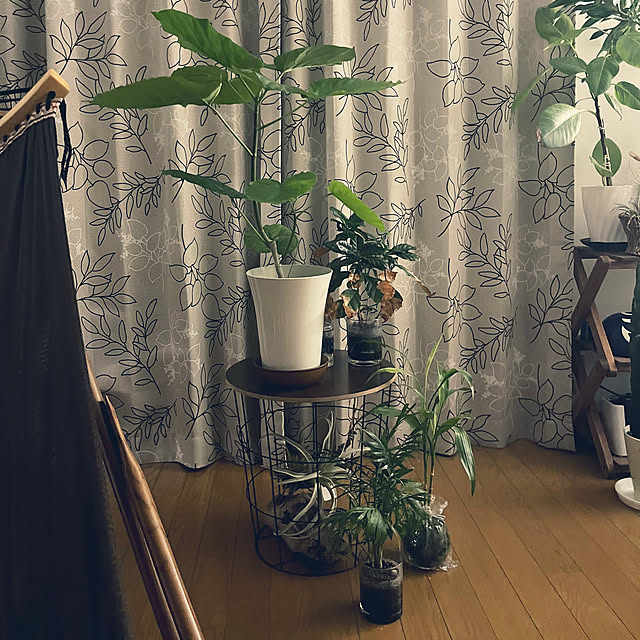 TOTOTOさんの実例写真