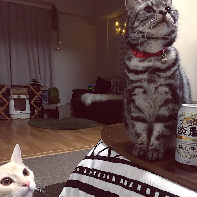 hiyupan88さんの実例写真