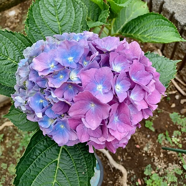nanaさんの部屋