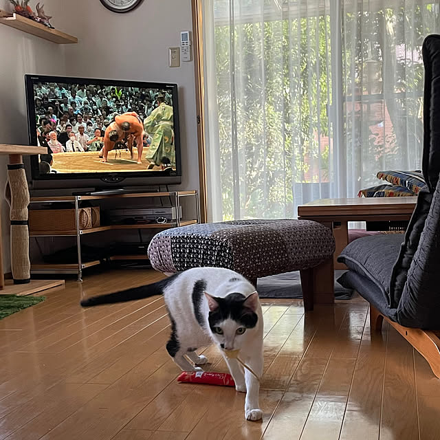 nobikoさんの実例写真