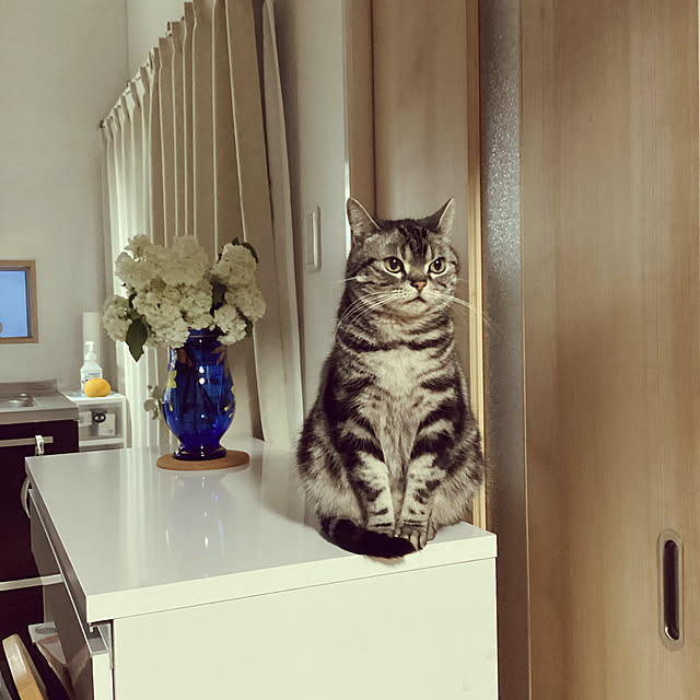 richanさんの実例写真