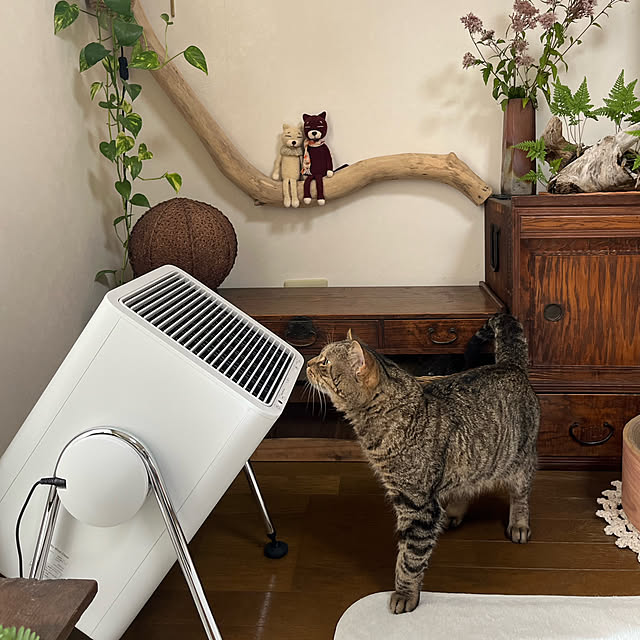 kuuさんの実例写真