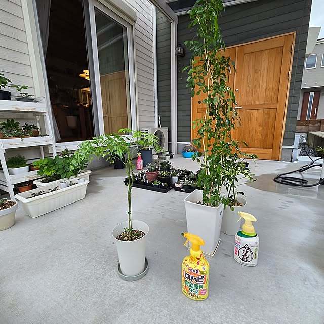 nonbiri_house_さんの実例写真