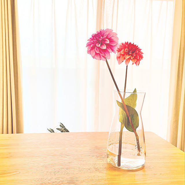 mikiさんの実例写真