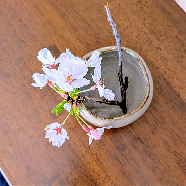 mi-saさんの部屋