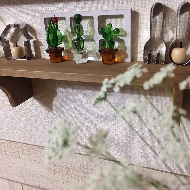 megusanさんの実例写真