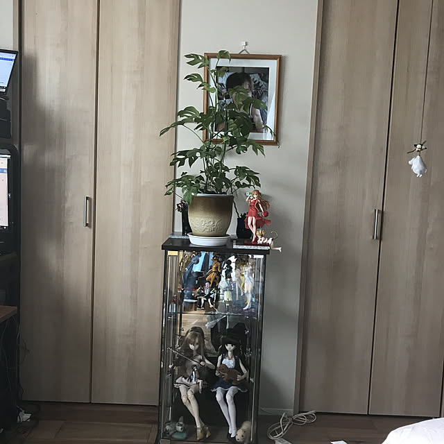 yujioさんの実例写真