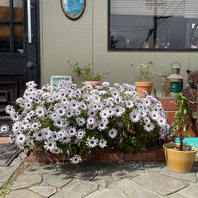 shin0719さんの部屋