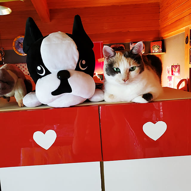 kumutanさんの実例写真