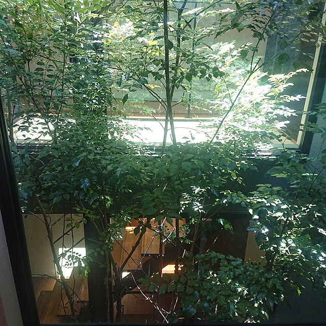 chachahomeさんの実例写真