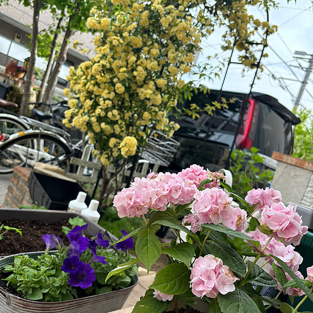 sawaさんの部屋