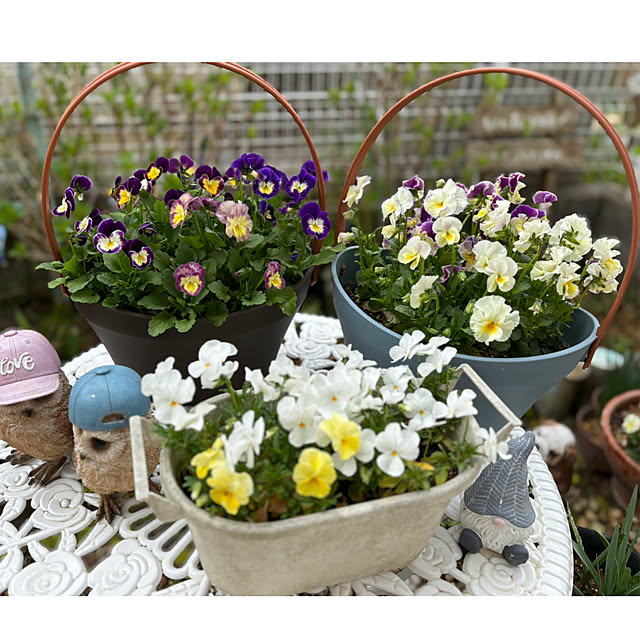 CoCo0617さんの部屋