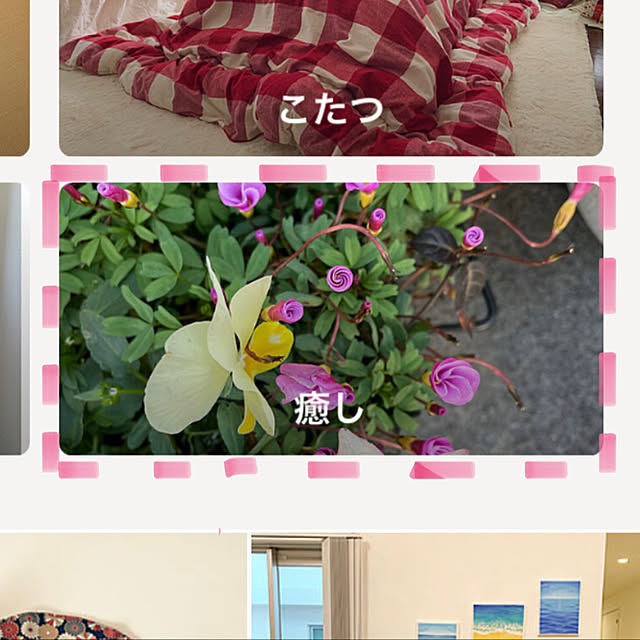 emikoさんの実例写真