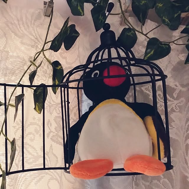 runaさんの部屋