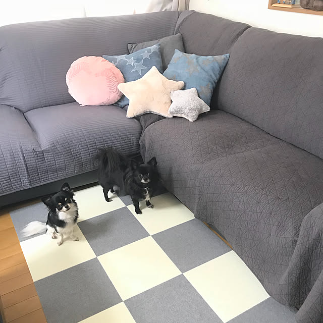 eriさんの実例写真