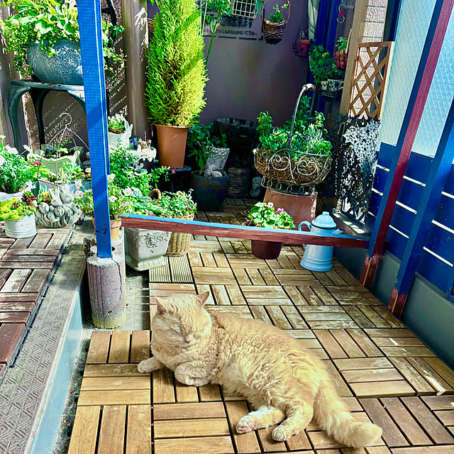 naokoさんの実例写真