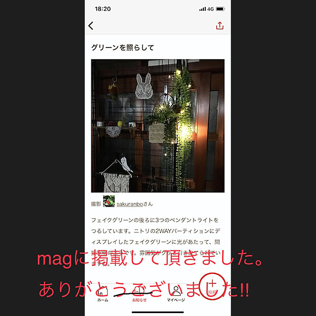 sakuranboさんの実例写真