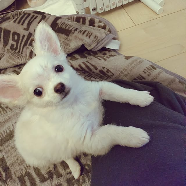 Bienvenueさんの部屋