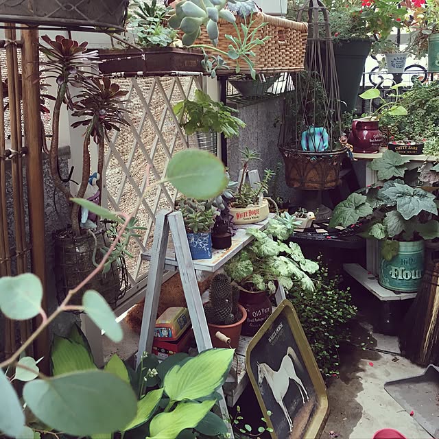 happy0612さんの実例写真