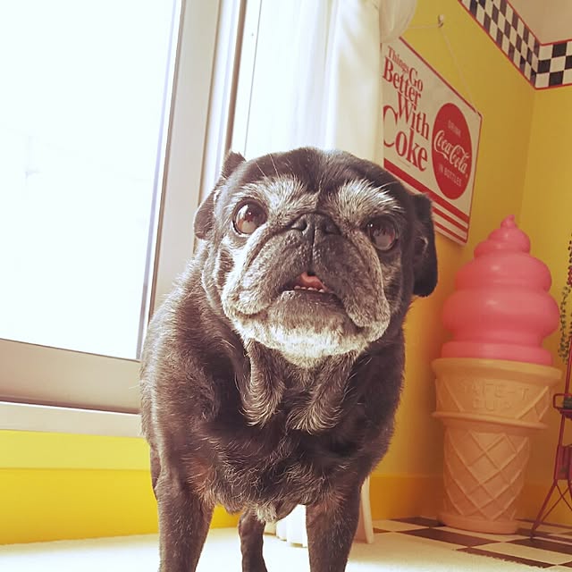 kuupugさんの実例写真