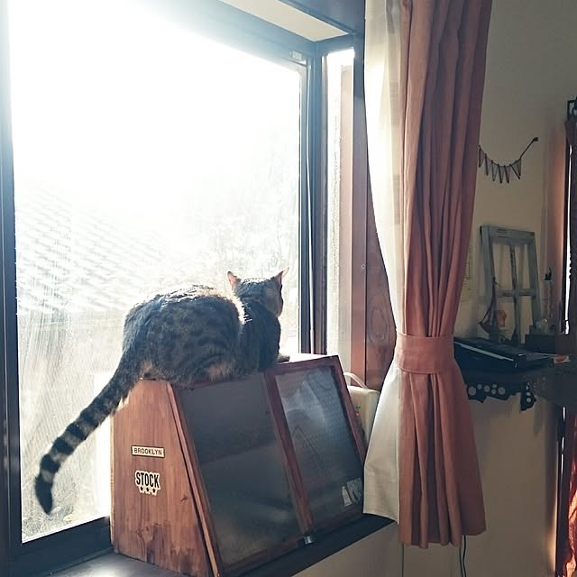 harunaさんの実例写真