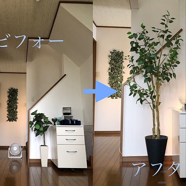 shuさんの実例写真