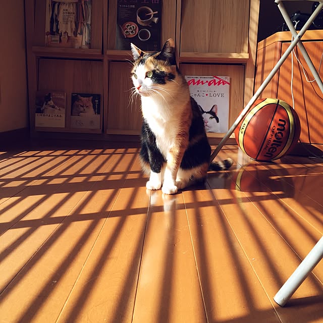 mayugonさんの実例写真