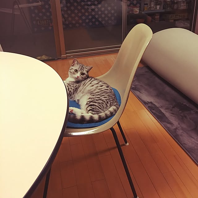 Shojiさんの実例写真